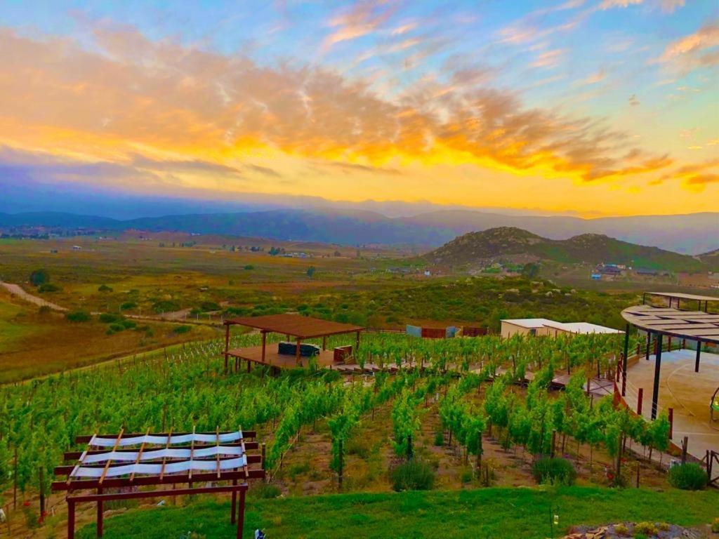 Siempre Valle Hotel Boutique Valle de Guadalupe Eksteriør bilde
