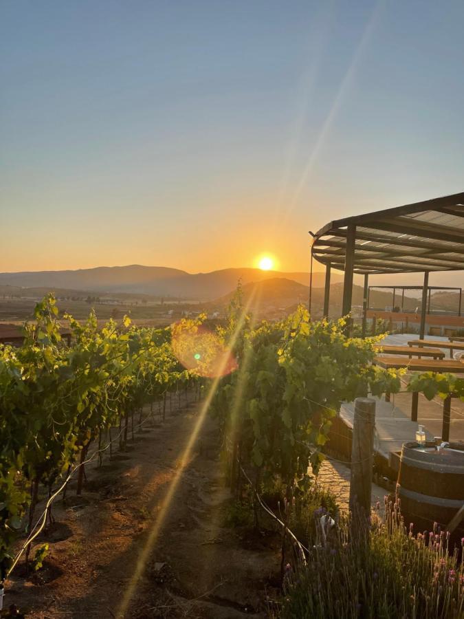 Siempre Valle Hotel Boutique Valle de Guadalupe Eksteriør bilde