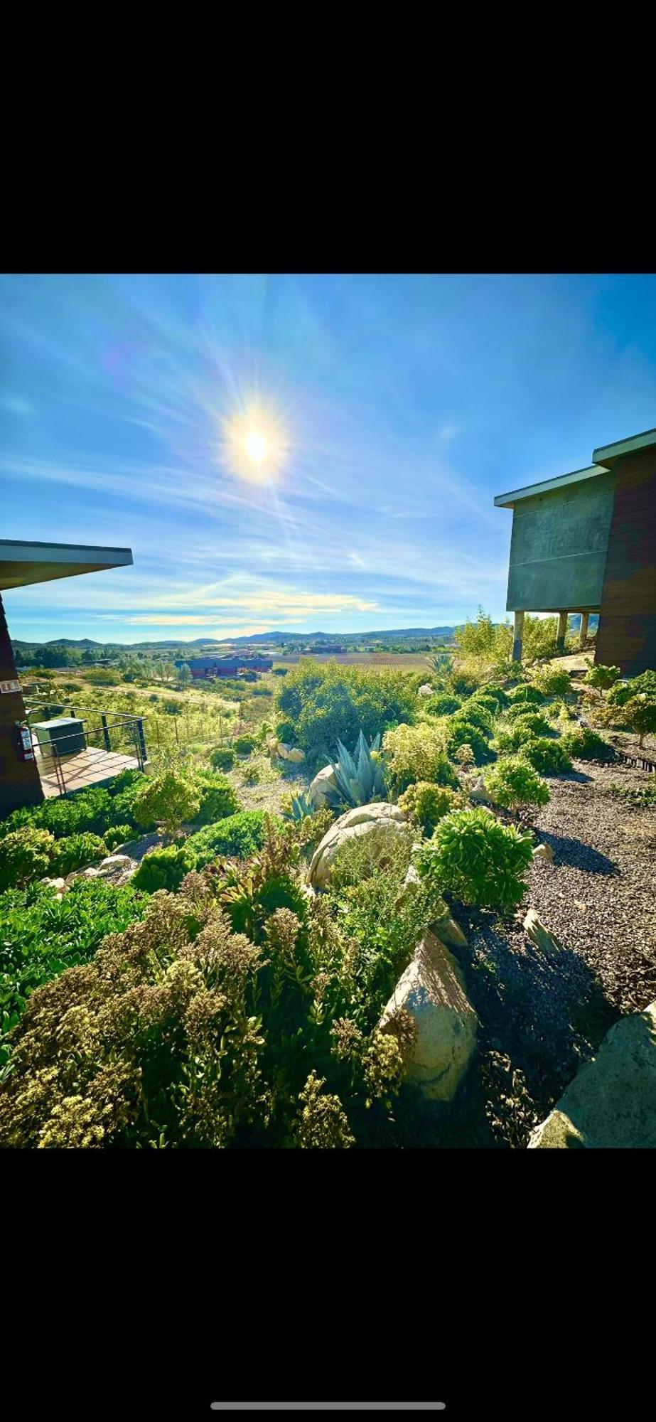 Siempre Valle Hotel Boutique Valle de Guadalupe Eksteriør bilde
